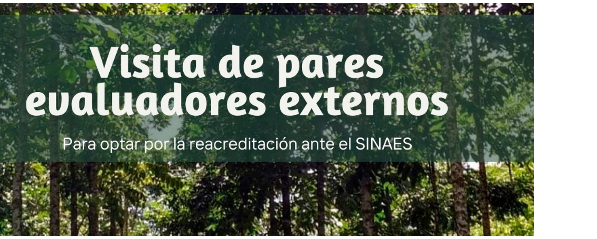 Visita de Pares Evaluadores Externos